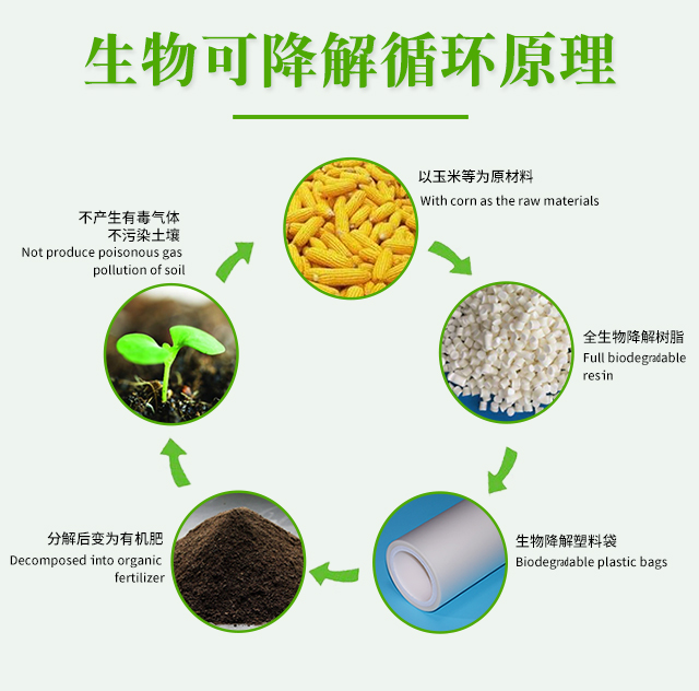 世界各國(guó)禁塑令-生物降解袋市場(chǎng)機(jī)遇來(lái)了(圖1)
