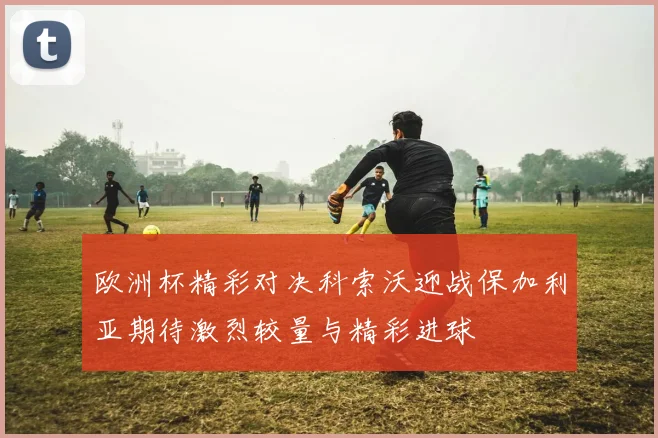 欧洲杯精彩对决科索沃迎战保加利亚期待激烈较量与精彩进球