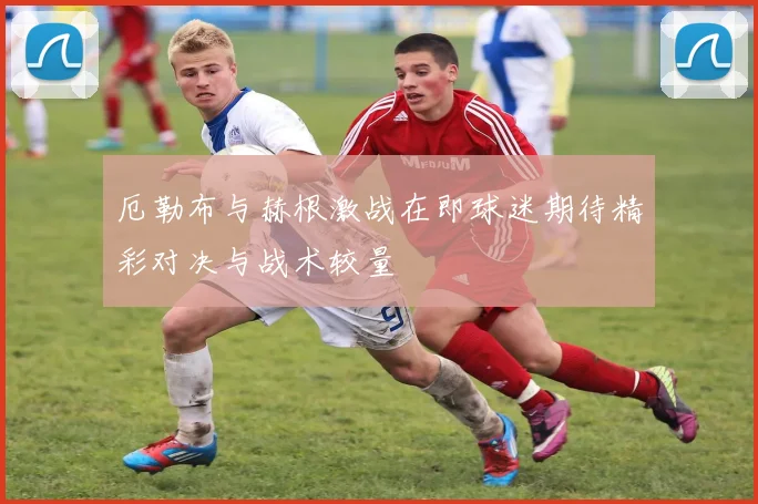 厄勒布与赫根激战在即球迷期待精彩对决与战术较量
